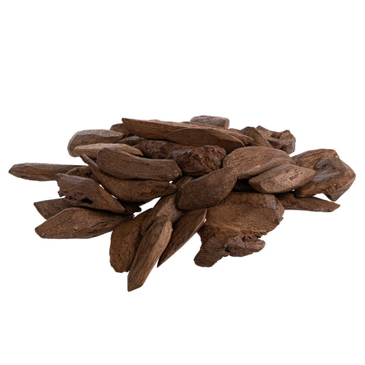المغرب