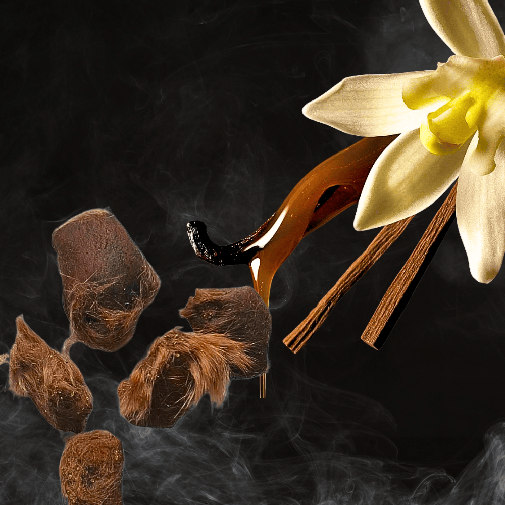 Musk Vanilla Perfume for Men & Women – Long Lasting Sweet & Warm Luxury Fragrance